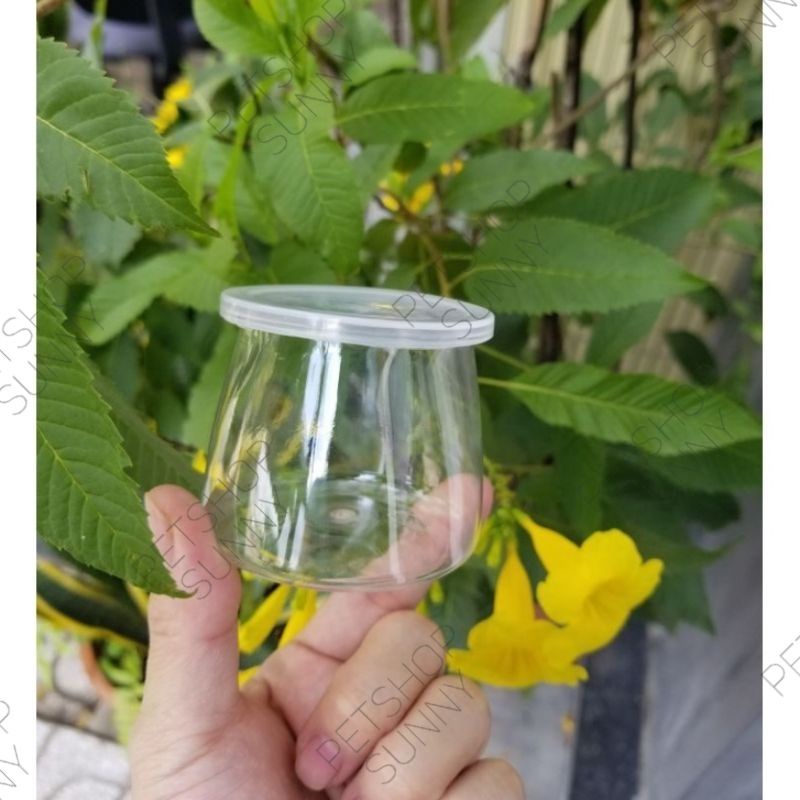 Hũ nhựa trong suốt đựng thức ăn dặm siêu xinh
