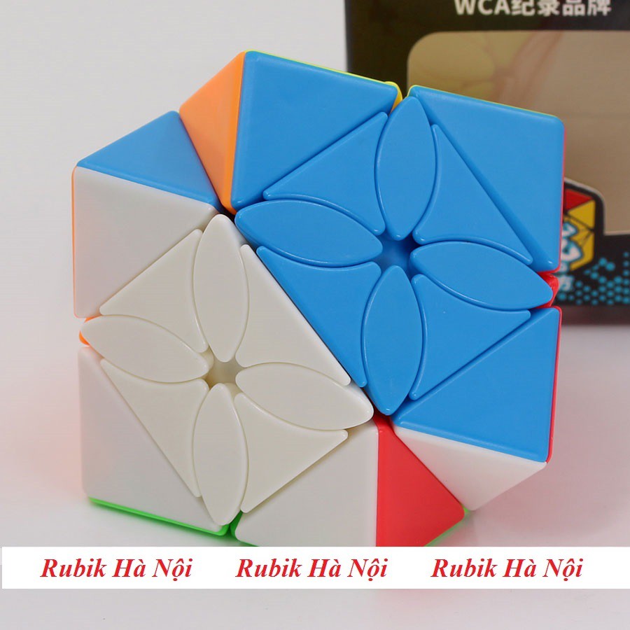 Rubik Maple Leaf Skewb Meilong Mofang Jiaoshi