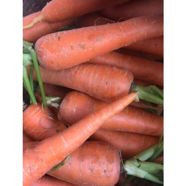 (1kg)CÀ RỐT ĐÀ LẠT
