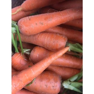 (1kg)CÀ RỐT ĐÀ LẠT