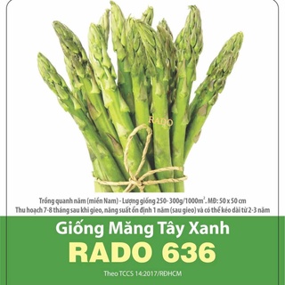 Hạt giống măng tây xanh rado 636 rạng đông | vtnn cần thơ