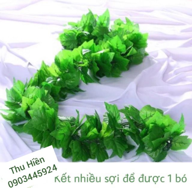 Dây Lá Nho Cuống Xanh Dài 2m