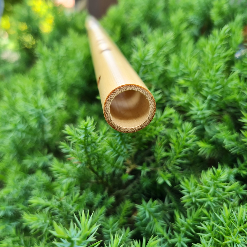 Sáo trúc dòng VS2 Tone La Trầm  Nứa Nam - Sáo Trúc Bùi Gia chính hãng