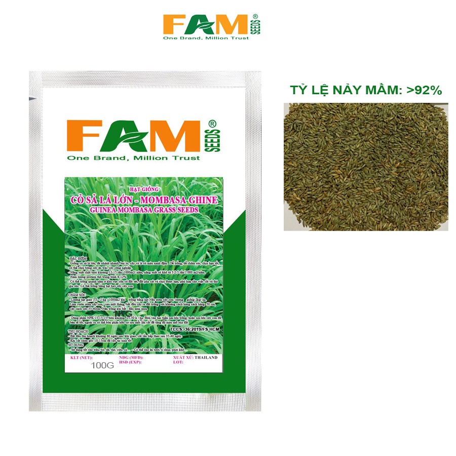 Gói 100g Hạt Giống Cỏ Sả Lá Lớn Mombasa Ghine FAM SEEDS Xuất Xứ Thái Lan - Dễ Trồng, Đẻ Nhánh Nhanh, Bụi To,Chịu Hạn Tốt