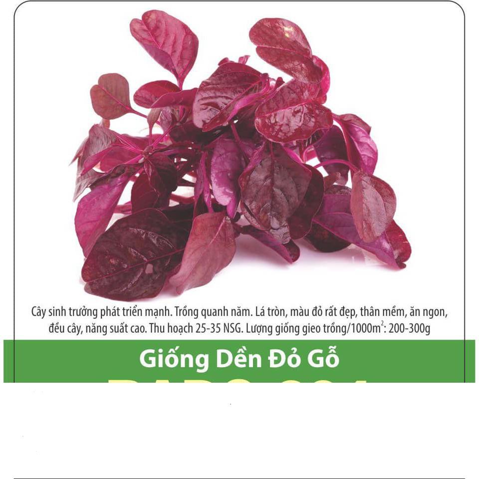 Hạt Giống Dền Đỏ Gỗ 10gr