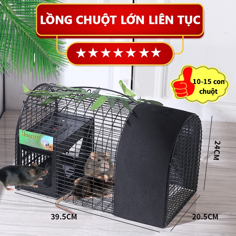⚡️COD⚡️ KUAIBU Kích thước lớn Có thể tái sử dụng Nhân đạo Sống liên tục Bắt chuột Chuột gặm nhấm Lồng bẫy chuột