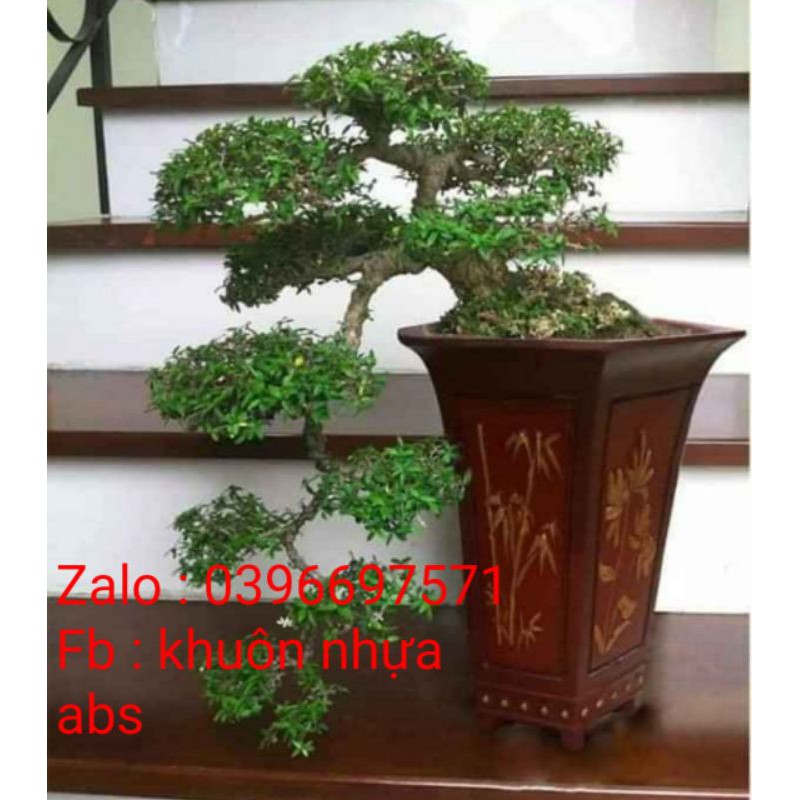 Khuôn lục giác ống Trúc xen Cúc