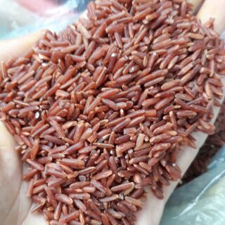 Gạo lứt đỏ quê sạch (đỏ ròng)