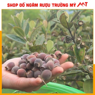01kg sim khô chất lượng cao - loại 1