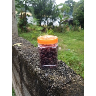 Hạt dổi rừng