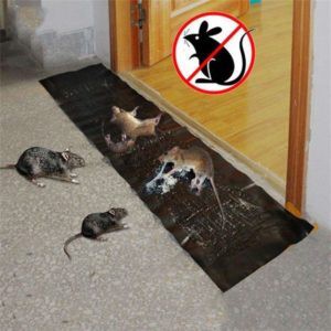 (Chính Hãng) Keo dán chuột bẩy chuột Germany Sticky Rat Traps