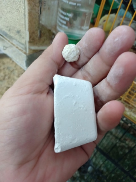 1 Viên khoáng cho vẹt sinh sản , bổ sung canxi..