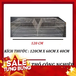 Lồng nuôi thỏ sinh sản,công nghiêp