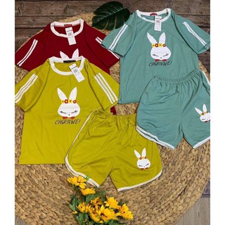 Bộ đồ thun hình thỏ chất siêu đẹp