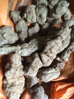 Hà Thủ Ô đỏ 1kg
