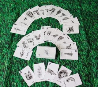 BỘ THẺ TRANH ANIMAL 4D