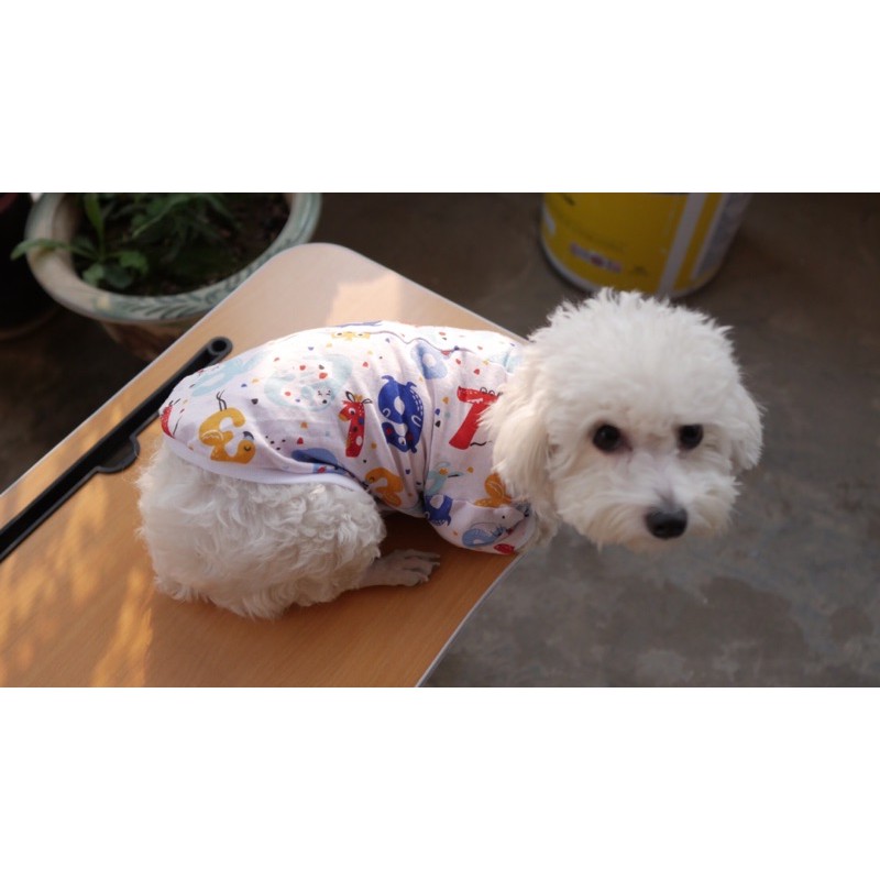Quần áo thú cưng - Dành cho chó mèo- Hàng tự thiết kế - Ảnh thật shop chụp- chất thun cotton