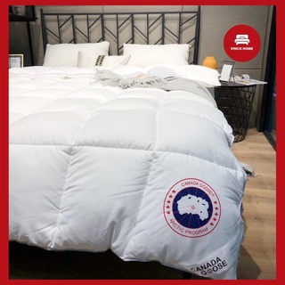 Ruột Chăn Luxury Canada Goose Cao Cấp Sẵn Hàng, Size 2mx2m3, 3kg Vincohome