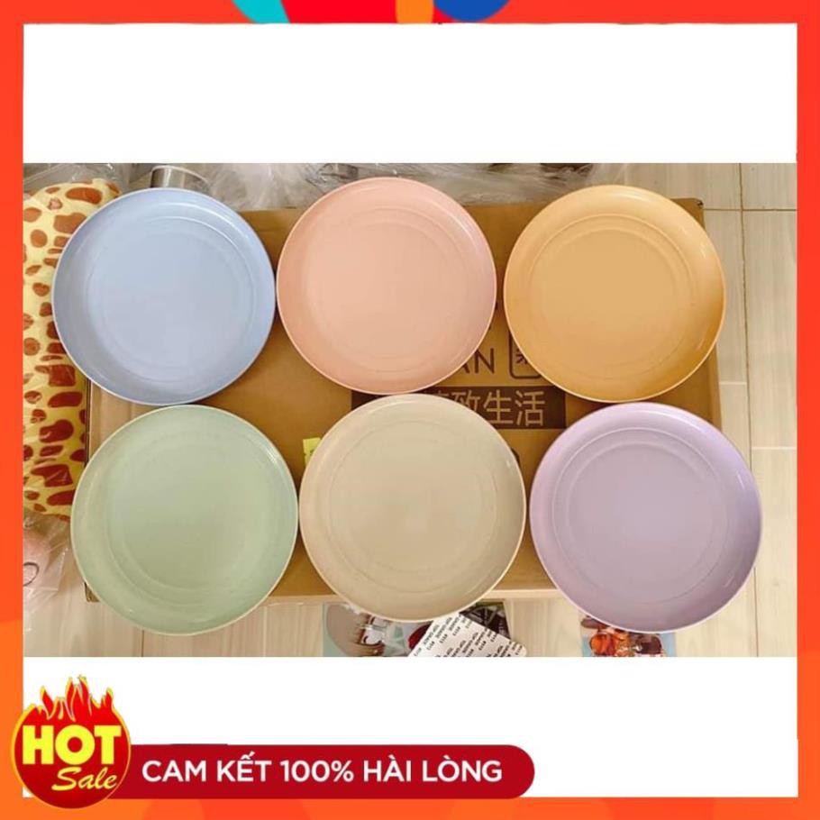 Sét Đĩa Nhựa Lúa Mỳ - COMBO 6 CHIẾC ĐĨA LÚA MẠCH - Đồ Gia Dụng Thông Minh