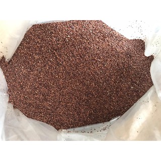Hạt Ngũ hoa (Hạt Lịch)_ 100gr