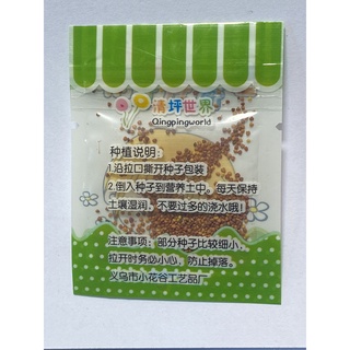 Hạt giống cây cảnh trồng chậu mini