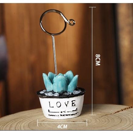 Kẹp ảnh Chậu cây xương rồng