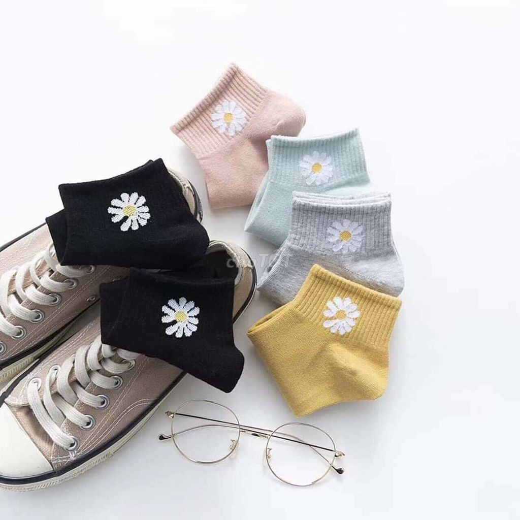 TẤT CỔ NGẮN HOA CÚC - tất cotton