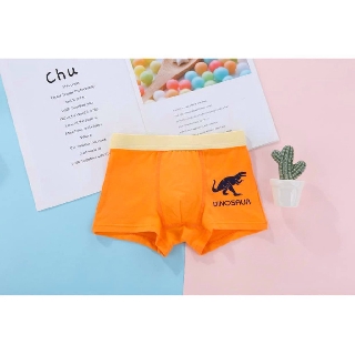 Set 3 quần đùi boxer Hàn Quốc mẫu Phi Công MRPDPD