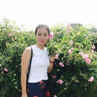 Cánh hoa hồng bạch Karose Sip