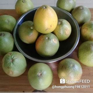 Thanh Trà đặc sản xứ Huế
