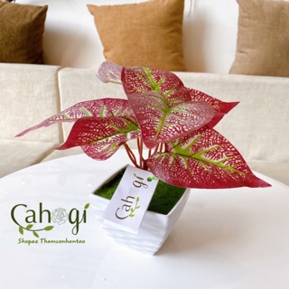 Cây nhựa cây giả - Cây Khoai Lá Tím (không kèm chậu)
