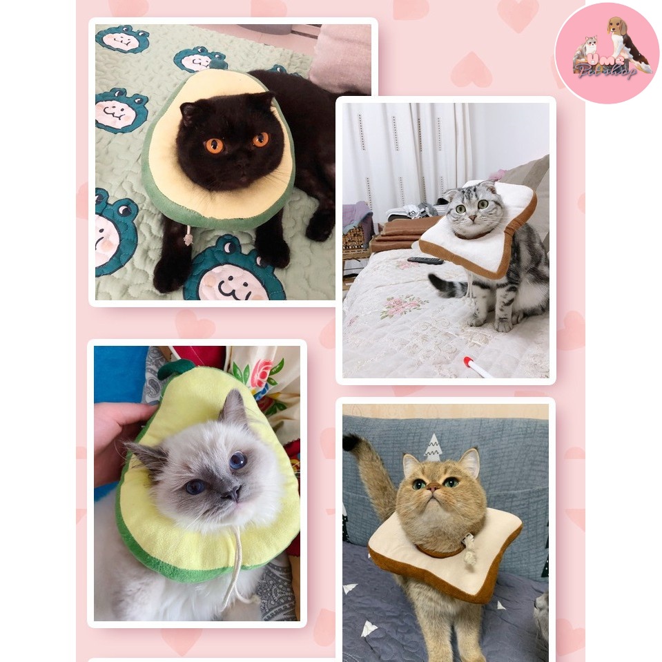 Gối Chống Liếm cho mèo hình Trái bơ & Bánh mì siêu dễ thương