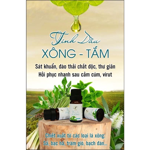 TINH DẦU LÁ XÔNG MÙA DỊCH COVID_19