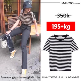 Áo thun nữ Mango auth