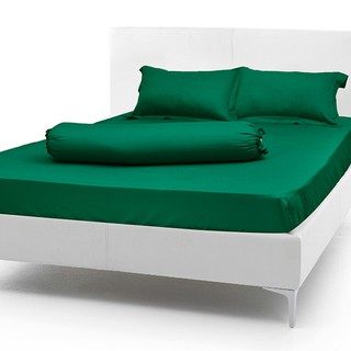 Bộ drap cotton cao cấp 1m6 x 2m/ inbox chọn màu