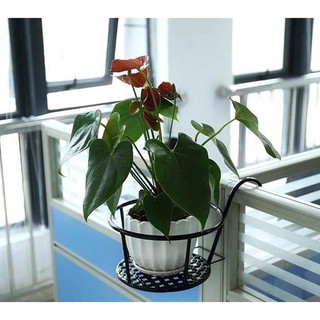 Giỏ sắt treo chậu hoa ban công giá sỉ tại TP.HCM