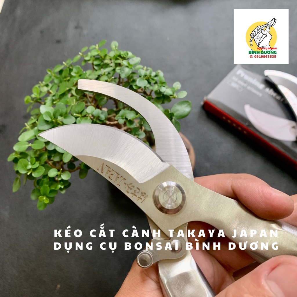 KÉO CẮT CÀNH TAKAYA JAPAN  - KÉO CẮT CÀNH CÂY CẢNH BONSAI TAKAYA JAPAN