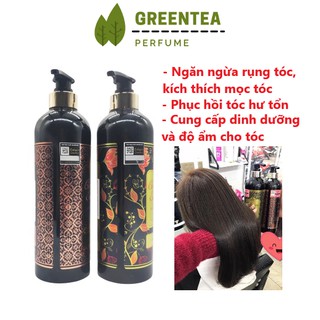 Bộ dầu gội xả  Yody collagen essence 800ml , Dầu gội xả collagen phục hồi tóc