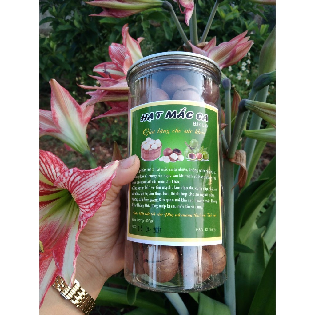 Hạt Mắc ca Sạch, 100% Organic [1kg Hạt macca Size A, Loại 1] Tặng kèm dụng cụ tách hạt [Giá Xưởng] | BigBuy360 - bigbuy360.vn