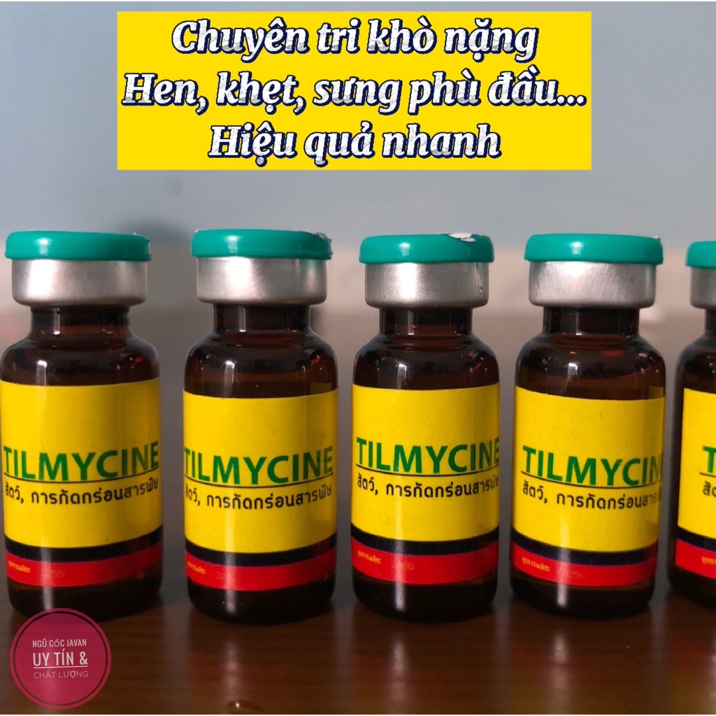 Tilmycine thuốc khò khè, khẹt, sưng phù đầu, viêm mắt kéo màng