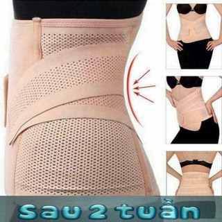 Đai gen bụng