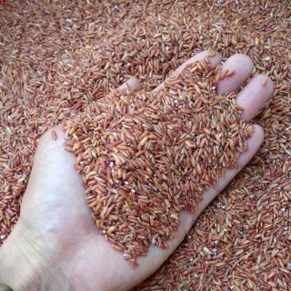 Gạo Lức Đỏ