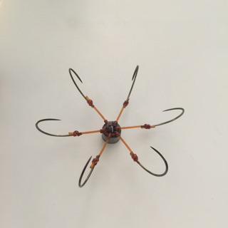 Lưỡi lục rẻ