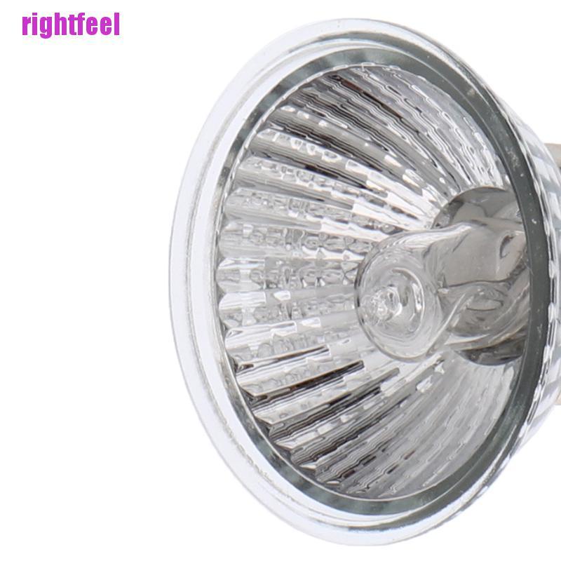 Bóng Đèn Uva + Uvb 25 / 50 / 75w Cho Thú Cưng