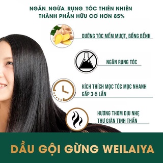 Dầu gội gừng Weilaiya mini