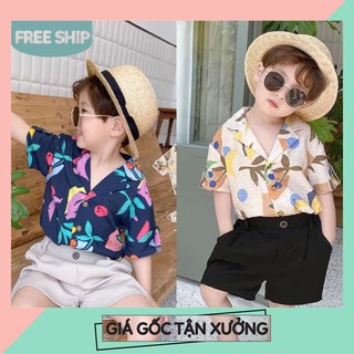 SET ÁO SƠ MI HOẠ TIẾT LÁ MIX QUẦN SOOC ĐŨI BÉ TRAI