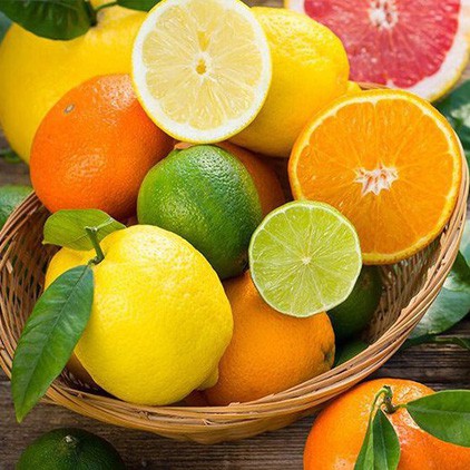 Nước Hoa Nam CARLOTTA Dung Tích 100ML Hương Cổ Điển Classic | BigBuy360 - bigbuy360.vn