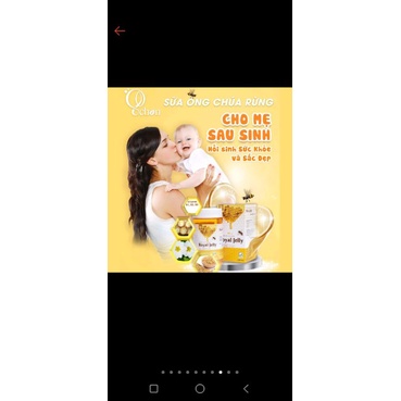 viên sữa ong chúa schon royal jelly