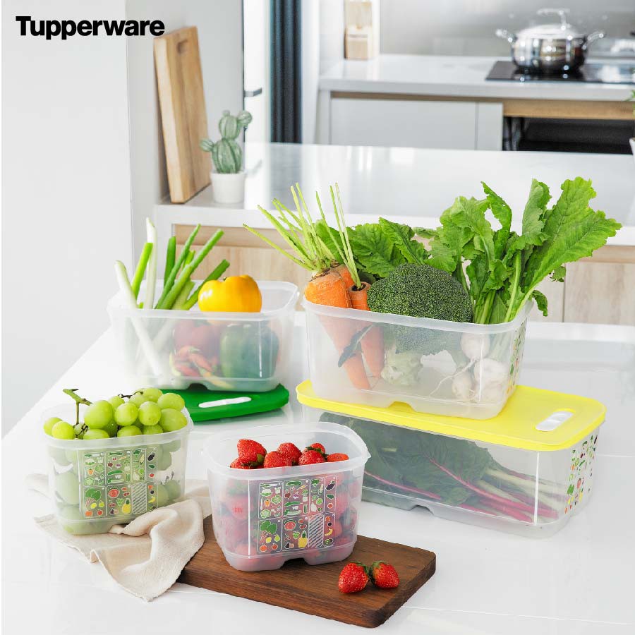 Bộ trữ mát có nút hô hấp cao cấp Ventsmart (5 hộp) - Tupperware