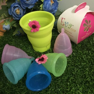 Bộ 5 chiếc evacup - made in usa